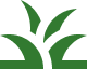 Green plant leaves on black background.